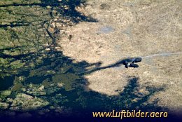 Aerial photo Hippos