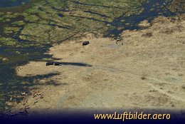 Aerial photo Hippos and Impalas