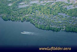 Aerial photo Mangrove Swamps