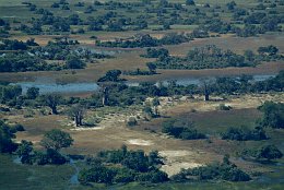 Aerial photo Baobabs