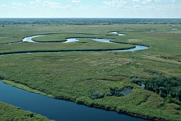 Aerial photo Okavango Panhandle