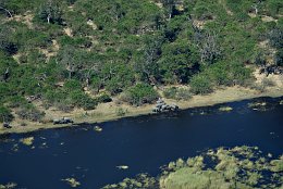 Aerial photo Elephants at Chobe River