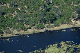 Elefanten am Chobe Fluss