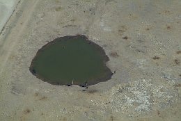 Aerial photo Giraffes at a Waterhole in Etosha Park